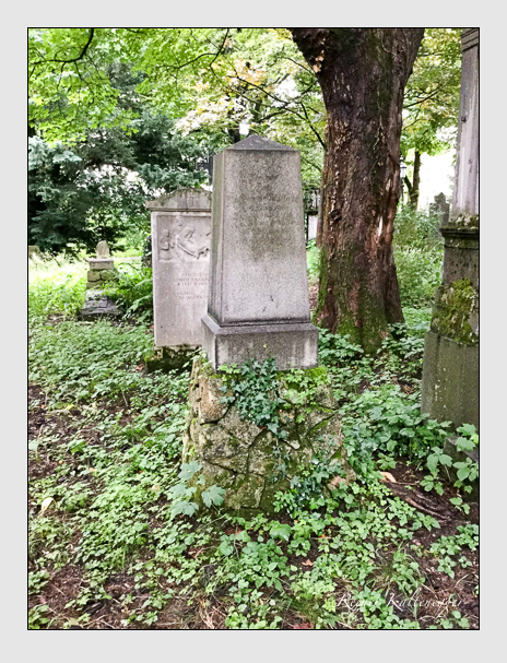 Kein grab ist stumm der friedhofsführer zum alten südfriedhof münchen