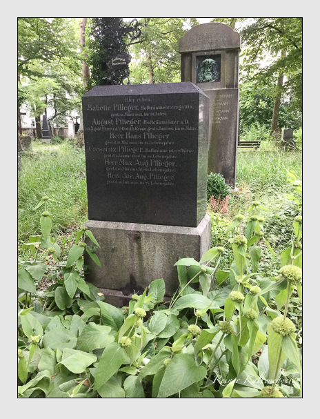 Kein grab ist stumm der friedhofsführer zum alten südfriedhof münchen