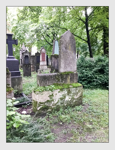 Kein grab ist stumm der friedhofsführer zum alten südfriedhof münchen