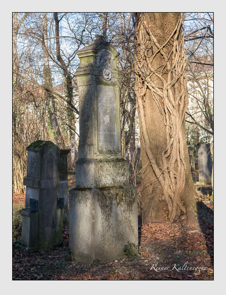 Kein grab ist stumm der friedhofsführer zum alten südfriedhof münchen