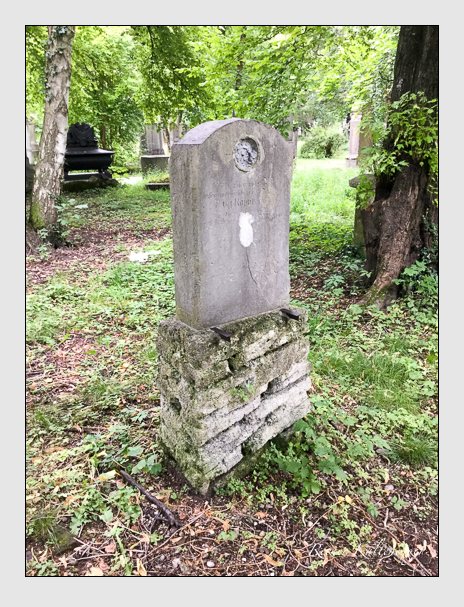 Kein grab ist stumm der friedhofsführer zum alten südfriedhof münchen