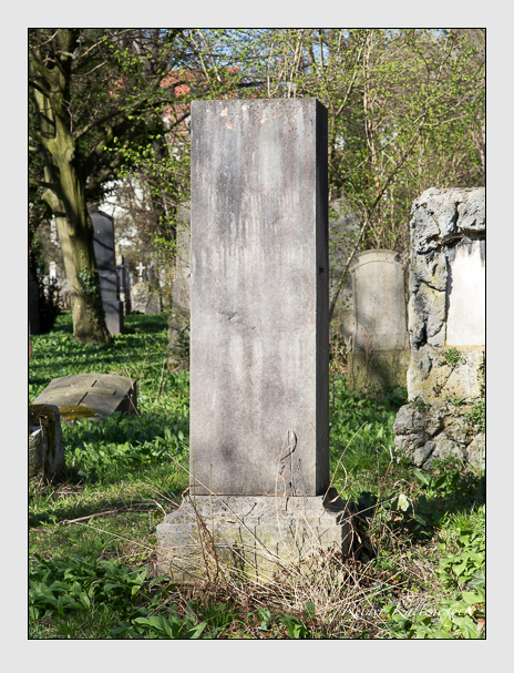 Kein grab ist stumm der friedhofsführer zum alten südfriedhof münchen