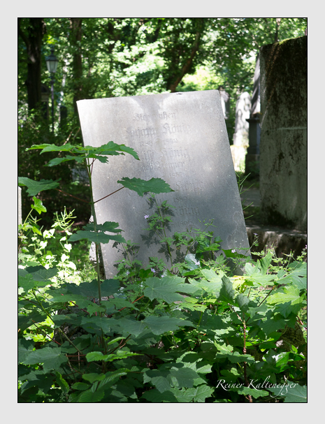 Kein grab ist stumm der friedhofsführer zum alten südfriedhof münchen