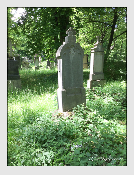 Kein grab ist stumm der friedhofsführer zum alten südfriedhof münchen
