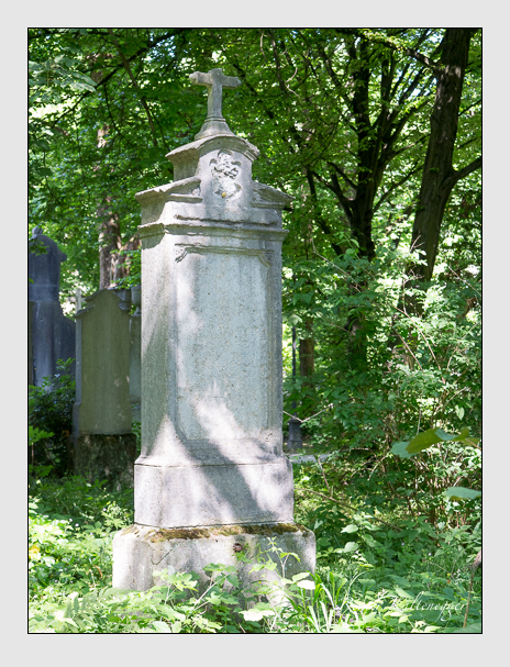 Kein grab ist stumm der friedhofsführer zum alten südfriedhof münchen