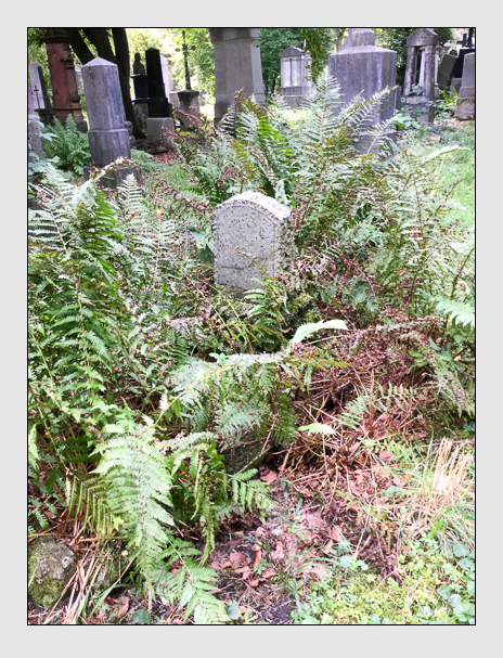 Kein grab ist stumm der friedhofsführer zum alten südfriedhof münchen