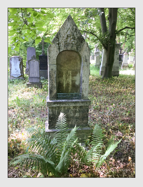 Kein grab ist stumm der friedhofsführer zum alten südfriedhof münchen