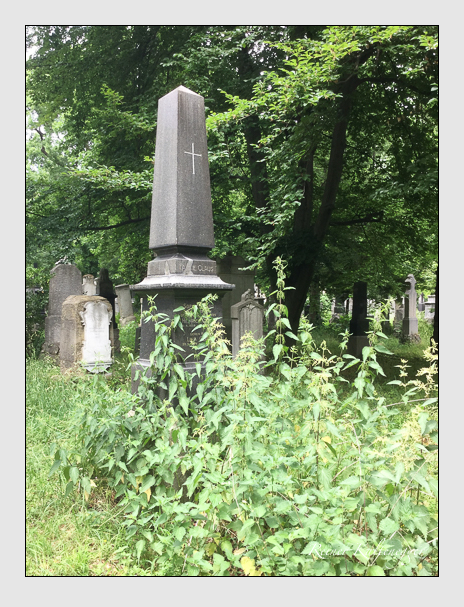 Kein grab ist stumm der friedhofsführer zum alten südfriedhof münchen