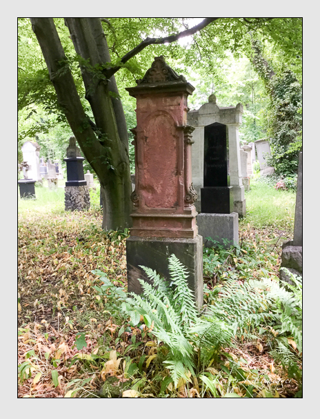 Kein grab ist stumm der friedhofsführer zum alten südfriedhof münchen