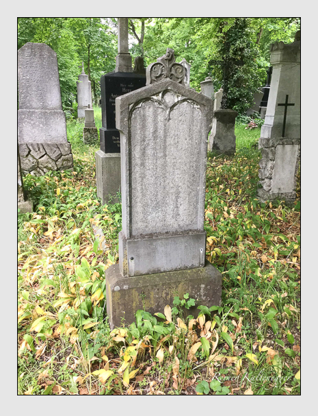 Kein grab ist stumm der friedhofsführer zum alten südfriedhof münchen