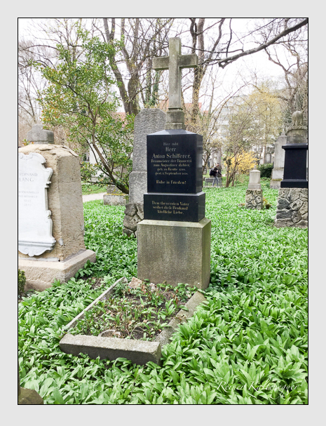 Kein grab ist stumm der friedhofsführer zum alten südfriedhof münchen