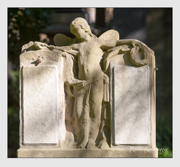 Kein grab ist stumm der friedhofsführer zum alten südfriedhof münchen
