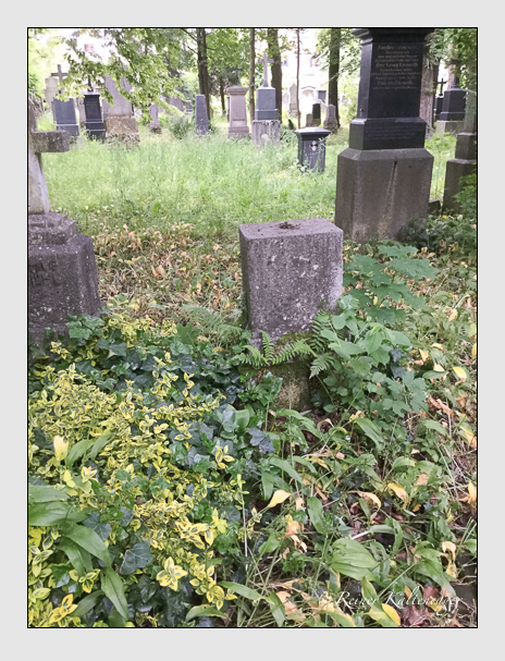 Kein grab ist stumm der friedhofsführer zum alten südfriedhof münchen