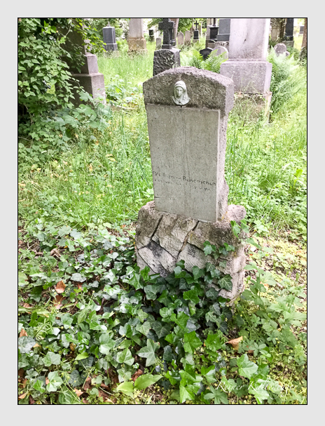 Kein grab ist stumm der friedhofsführer zum alten südfriedhof münchen