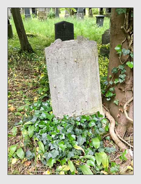 Kein grab ist stumm der friedhofsführer zum alten südfriedhof münchen