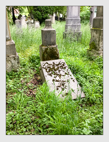Kein grab ist stumm der friedhofsführer zum alten südfriedhof münchen
