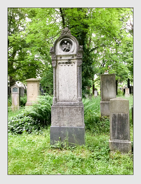 Kein grab ist stumm der friedhofsführer zum alten südfriedhof münchen
