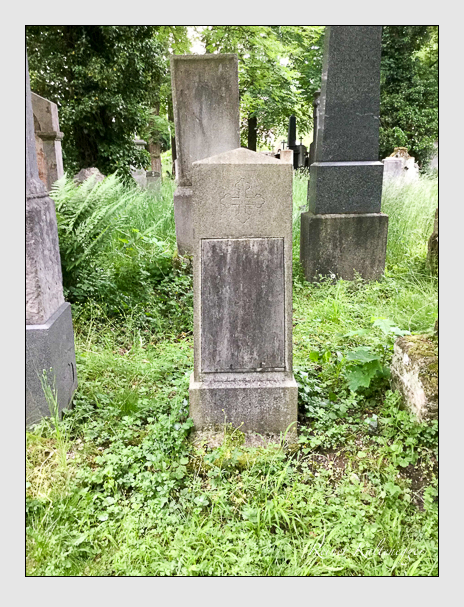 Kein grab ist stumm der friedhofsführer zum alten südfriedhof münchen