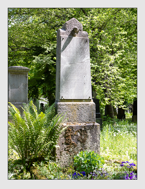 Kein grab ist stumm der friedhofsführer zum alten südfriedhof münchen