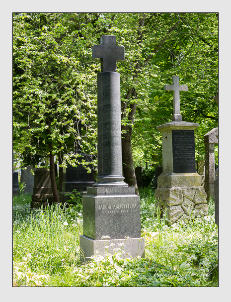 Kein grab ist stumm der friedhofsführer zum alten südfriedhof münchen