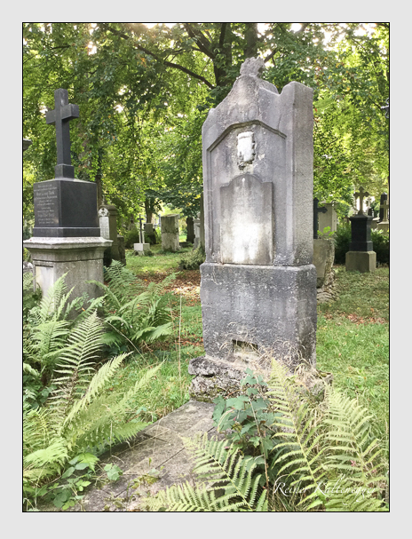 Kein grab ist stumm der friedhofsführer zum alten südfriedhof münchen