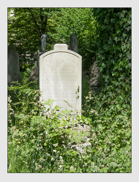 Kein grab ist stumm der friedhofsführer zum alten südfriedhof münchen