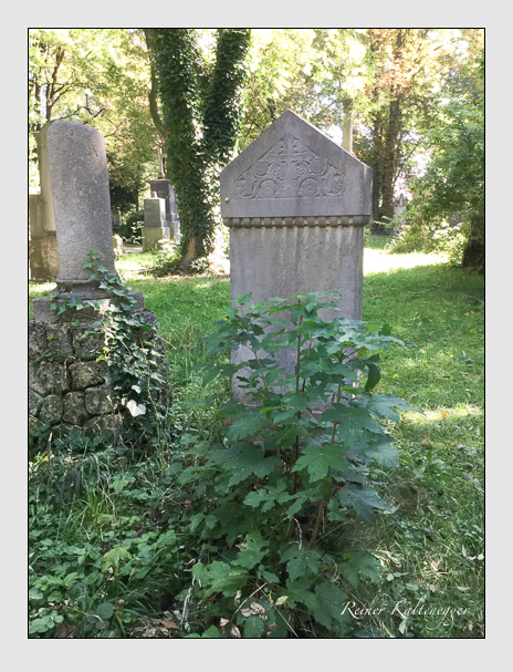 Kein grab ist stumm der friedhofsführer zum alten südfriedhof münchen