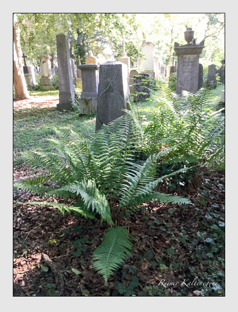 Kein grab ist stumm der friedhofsführer zum alten südfriedhof münchen
