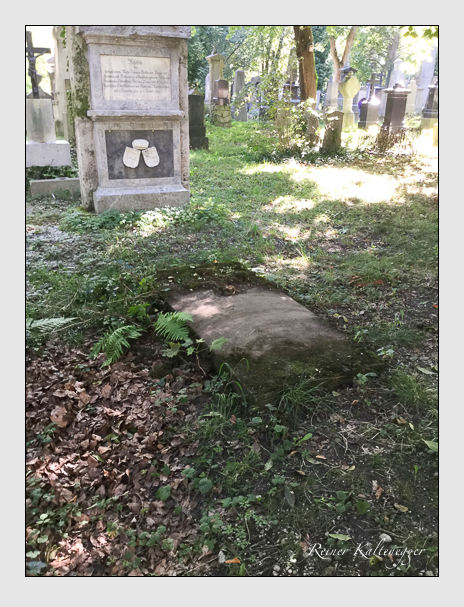 Kein grab ist stumm der friedhofsführer zum alten südfriedhof münchen