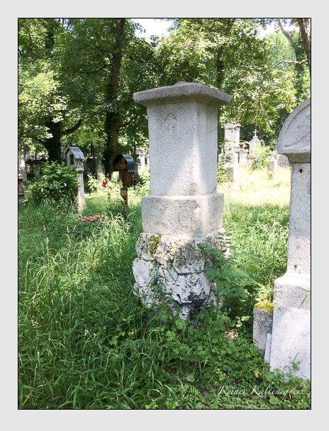 Kein grab ist stumm der friedhofsführer zum alten südfriedhof münchen