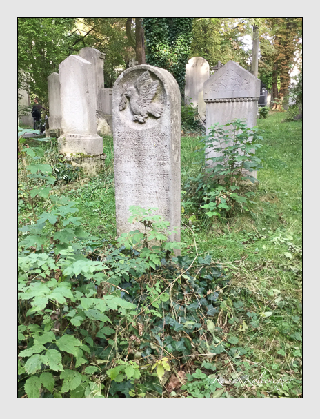 Kein grab ist stumm der friedhofsführer zum alten südfriedhof münchen