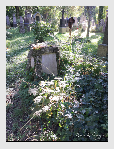Kein grab ist stumm der friedhofsführer zum alten südfriedhof münchen