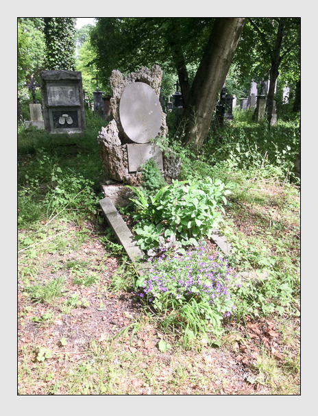 Kein grab ist stumm der friedhofsführer zum alten südfriedhof münchen