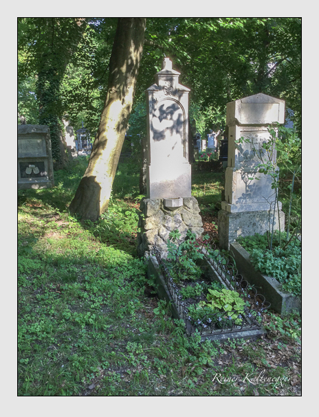 Kein grab ist stumm der friedhofsführer zum alten südfriedhof münchen