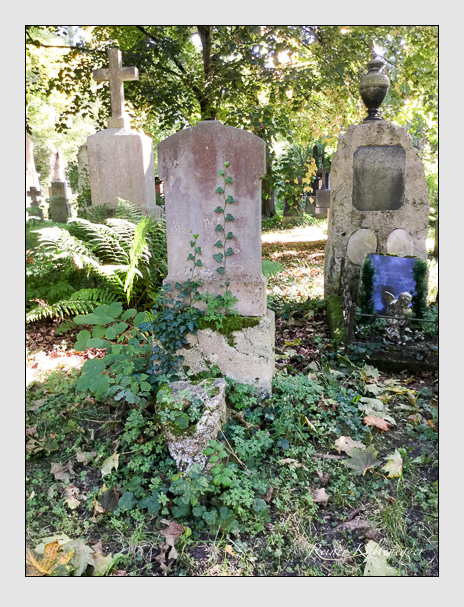 Kein grab ist stumm der friedhofsführer zum alten südfriedhof münchen