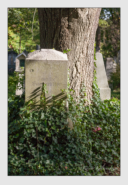 Kein grab ist stumm der friedhofsführer zum alten südfriedhof münchen