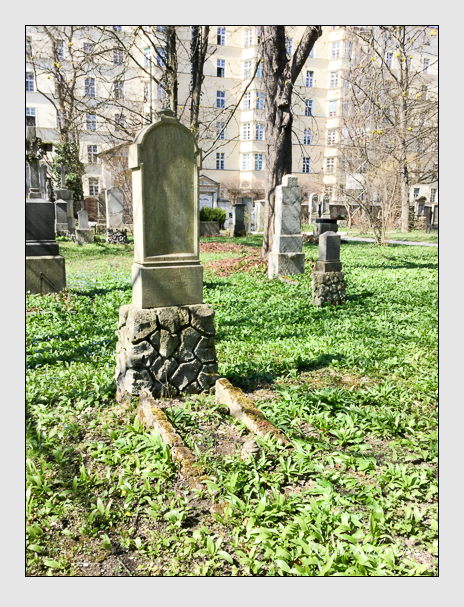 Kein grab ist stumm der friedhofsführer zum alten südfriedhof münchen