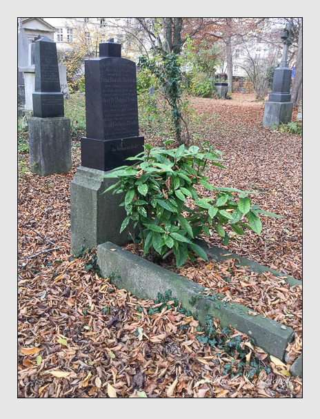 Kein grab ist stumm der friedhofsführer zum alten südfriedhof münchen
