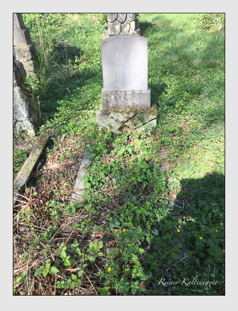 Kein grab ist stumm der friedhofsführer zum alten südfriedhof münchen