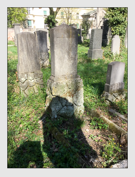 Kein grab ist stumm der friedhofsführer zum alten südfriedhof münchen