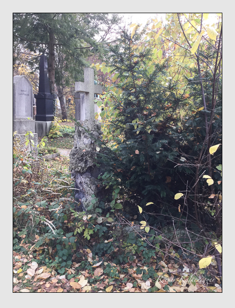 Kein grab ist stumm der friedhofsführer zum alten südfriedhof münchen