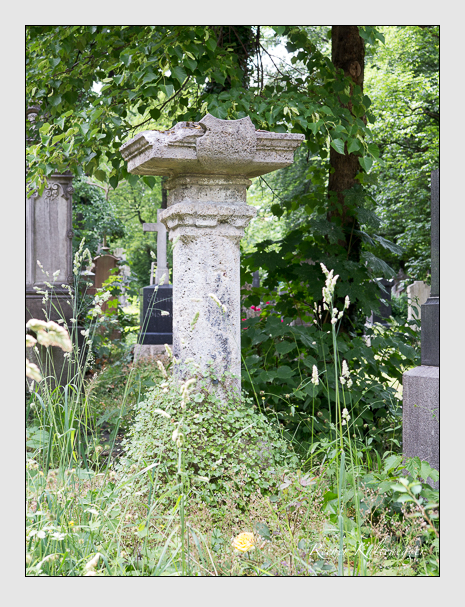 Kein grab ist stumm der friedhofsführer zum alten südfriedhof münchen