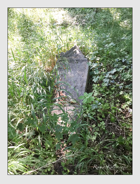 Kein grab ist stumm der friedhofsführer zum alten südfriedhof münchen