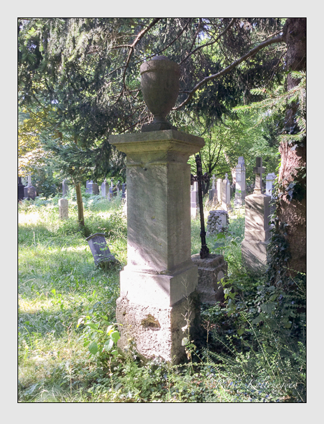 Kein grab ist stumm der friedhofsführer zum alten südfriedhof münchen