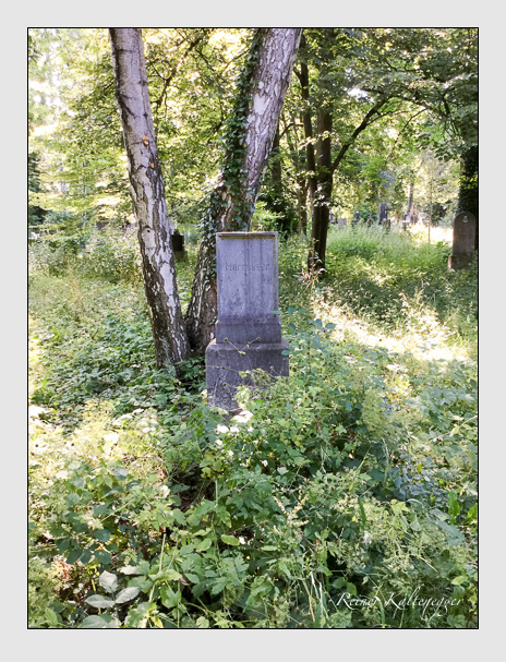 Kein grab ist stumm der friedhofsführer zum alten südfriedhof münchen