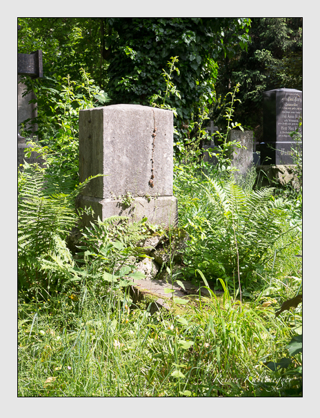 Kein grab ist stumm der friedhofsführer zum alten südfriedhof münchen