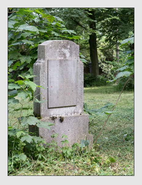 15 (neubauer)