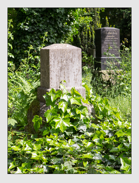 Kein grab ist stumm der friedhofsführer zum alten südfriedhof münchen