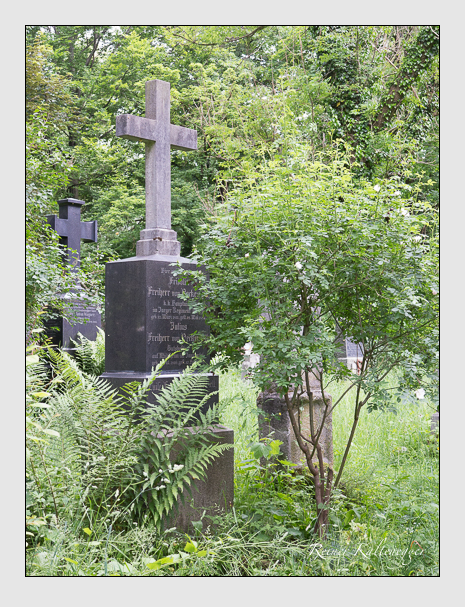 Kein grab ist stumm der friedhofsführer zum alten südfriedhof münchen