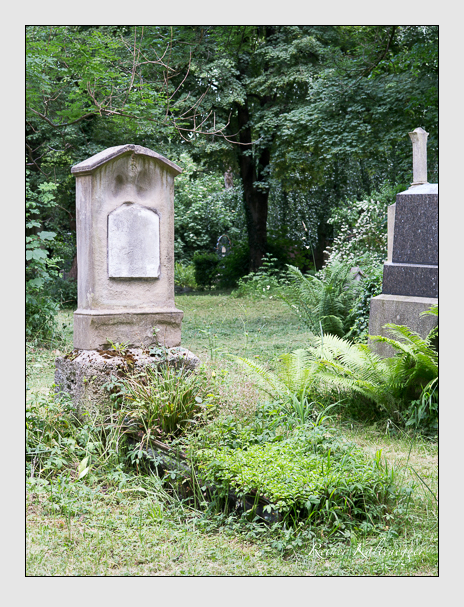Kein grab ist stumm der friedhofsführer zum alten südfriedhof münchen
